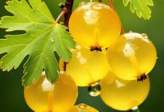 宝妈低门槛副业清单：在家赚钱的实用选擇(zé)