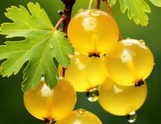 宝妈低门槛副业清单：在家赚钱的实用选擇(zé)