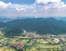 流(liú)量变現(xiàn)、产业躍(yuè)迁、城鄕(xiāng)共荣