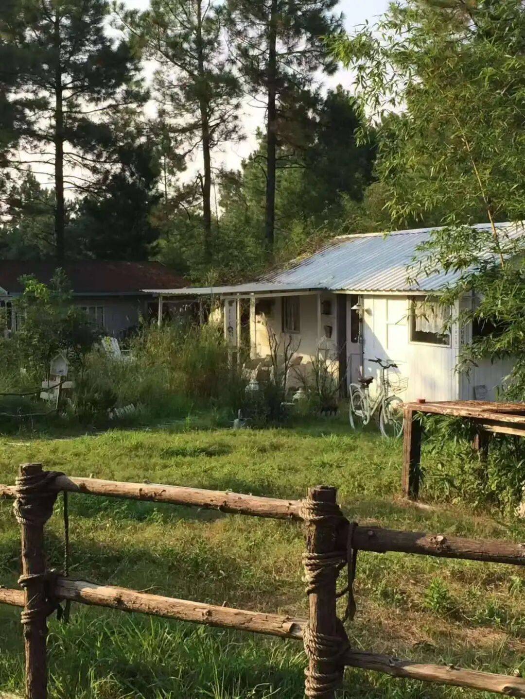 “村漂”的年轻人，利用自媒体悄(qiāo)悄(qiāo)赚钱